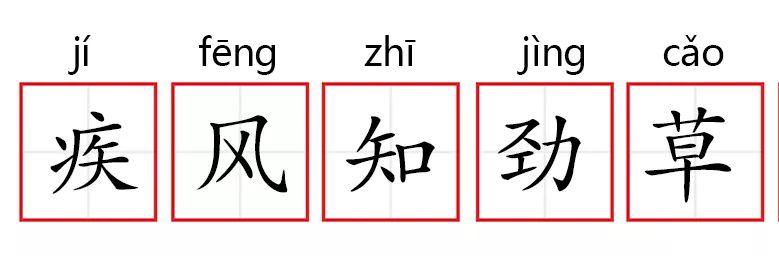 疾风劲草有什么历史典故,疾风劲草的故事-第7张图片-文史 疾风劲草有什么历史典故,疾风劲草的故事-第7张图片-文史