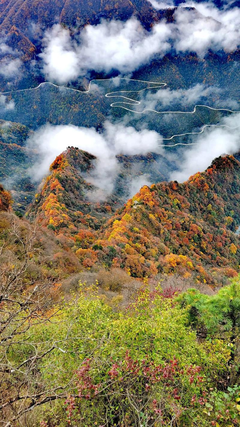 南郑龙头山天气预报(南郑龙头山天气预报一周7天)-第7张图片-文史 南郑龙头山天气预报(南郑龙头山天气预报一周7天)-第7张图片-文史