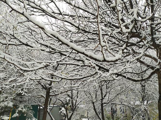 吉林省一周天气预报,吉林一周天气预报15天查询-第4张图片-文史 吉林省一周天气预报,吉林一周天气预报15天查询-第4张图片-文史