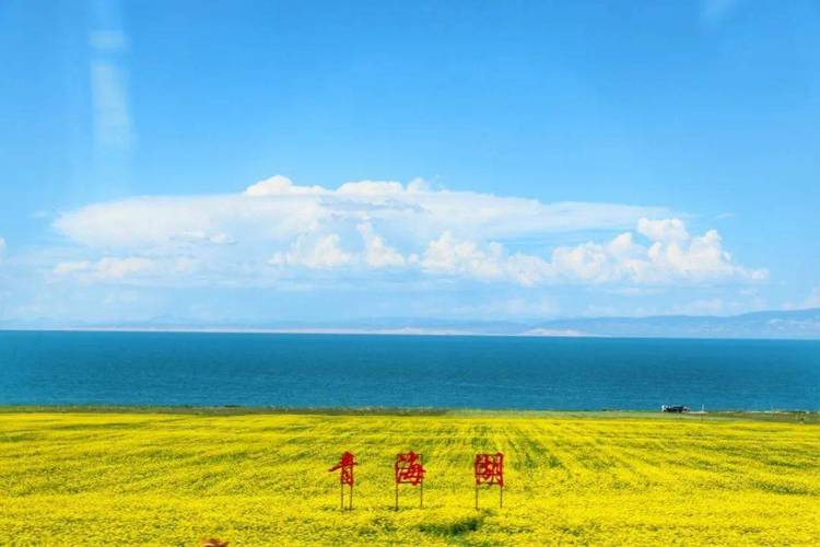 青海天气8月份天气(青海天气8月份天气温度)-第4张图片-文史 青海天气8月份天气(青海天气8月份天气温度)-第4张图片-文史