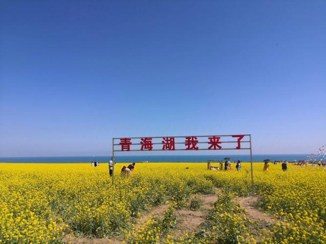 青海天气8月份天气(青海天气8月份天气温度)-第7张图片-文史 青海天气8月份天气(青海天气8月份天气温度)-第7张图片-文史