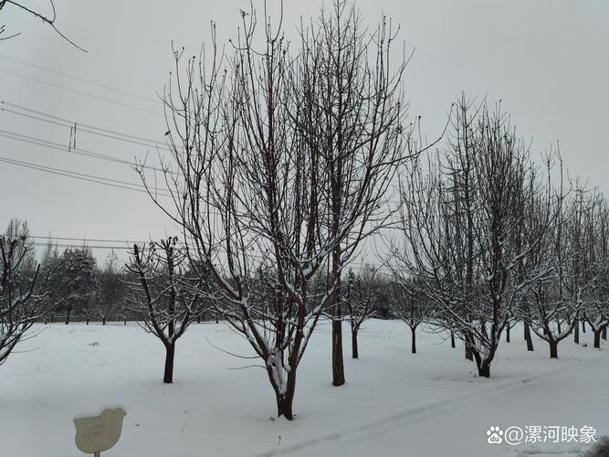 辉县新乡天气,新乡十五天天气预报15天查询辉县-第4张图片-文史 辉县新乡天气,新乡十五天天气预报15天查询辉县-第4张图片-文史