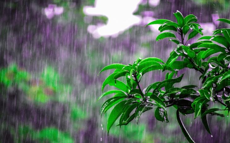 天津气预报40天气(天津天气预报40天查询百度)-第3张图片-文史 天津气预报40天气(天津天气预报40天查询百度)-第3张图片-文史
