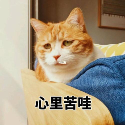 你觉得呢(你觉得你的家庭怎么样英语)-第5张图片-文史 你觉得呢(你觉得你的家庭怎么样英语)-第5张图片-文史