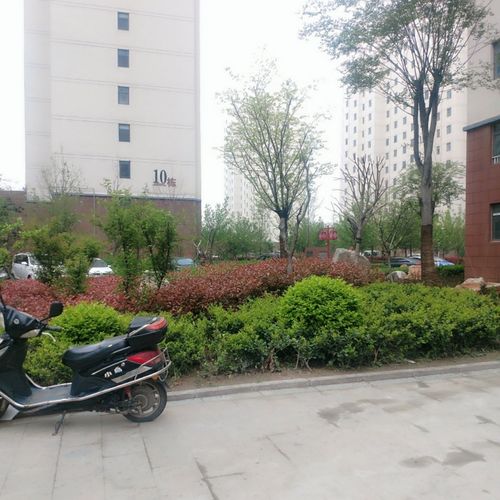 濮阳限号绿城路限行吗,濮阳绿城路口-第4张图片-文史 濮阳限号绿城路限行吗,濮阳绿城路口-第4张图片-文史