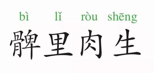 成语髀肉复生有什么典故（髀肉复生怎么读音是什么意思）