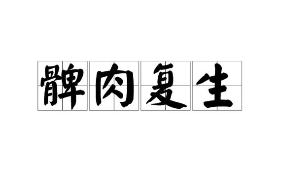 成语髀肉复生有什么典故(髀肉复生怎么读音是什么意思)-第3张图片-文史 成语髀肉复生有什么典故(髀肉复生怎么读音是什么意思)-第3张图片-文史