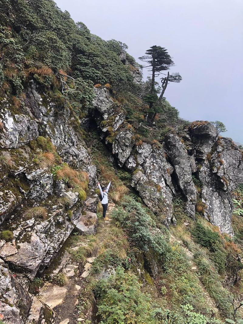 临沂苍山天气预报,临沂苍山天气预报最新消息-第3张图片-文史 临沂苍山天气预报,临沂苍山天气预报最新消息-第3张图片-文史