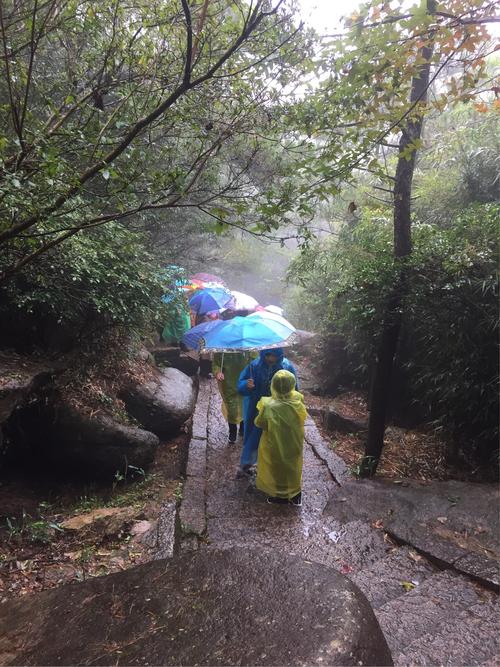 临沂苍山天气预报,临沂苍山天气预报最新消息-第7张图片-文史 临沂苍山天气预报,临沂苍山天气预报最新消息-第7张图片-文史