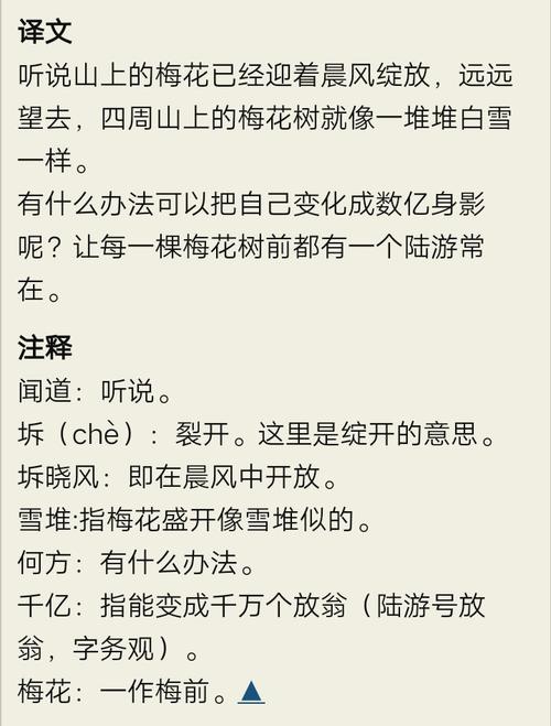 成语梅开二度,成语梅开二度源于二度梅-第2张图片-文史