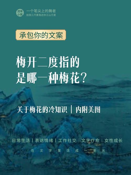 成语梅开二度,成语梅开二度源于二度梅-第4张图片-文史