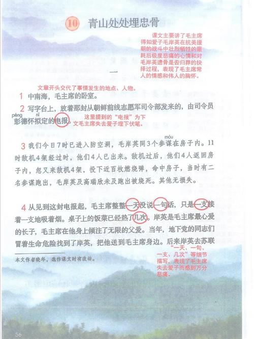 马革裹尸的意思是什么(马革裹尸是指什么)-第3张图片-文史 马革裹尸的意思是什么(马革裹尸是指什么)-第3张图片-文史
