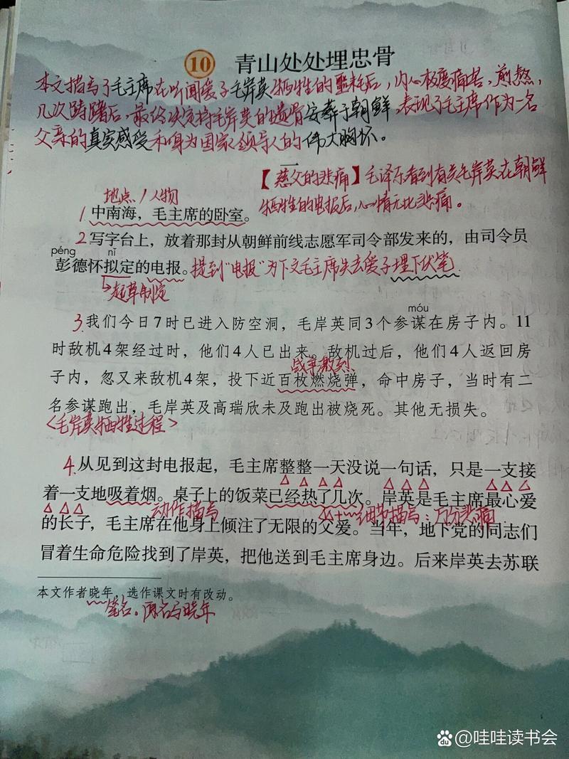 马革裹尸的意思是什么(马革裹尸是指什么)-第6张图片-文史 马革裹尸的意思是什么(马革裹尸是指什么)-第6张图片-文史