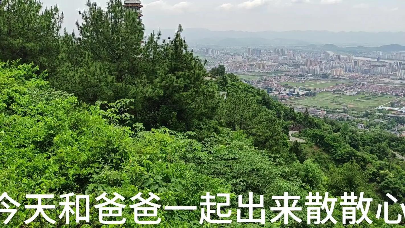 陕西勉县天气预报,陕西勉县天气预报15天查询-第2张图片-文史 陕西勉县天气预报,陕西勉县天气预报15天查询-第2张图片-文史