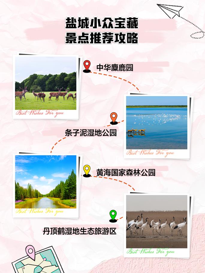盐城亭湖天气预报,盐城亭湖天气预报24小时查询-第6张图片-文史 盐城亭湖天气预报,盐城亭湖天气预报24小时查询-第6张图片-文史