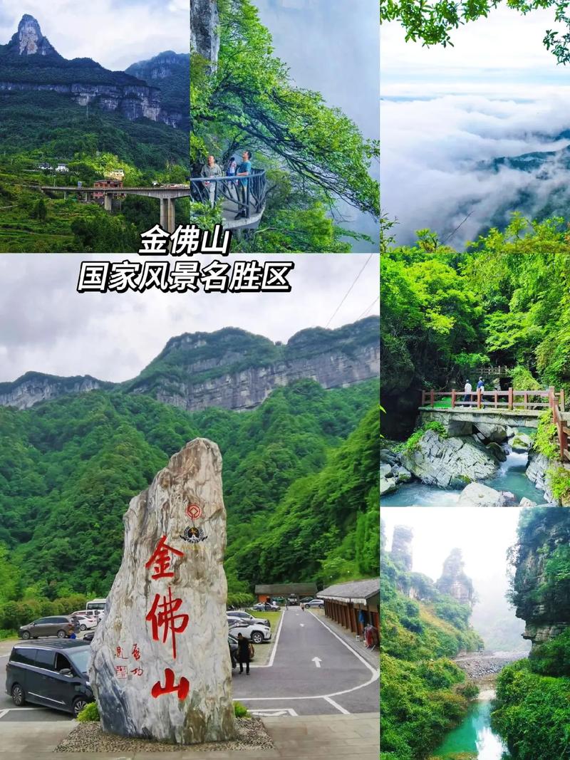 金佛山天气预报7天(金佛山天气预报7天精准)-第3张图片-文史 金佛山天气预报7天(金佛山天气预报7天精准)-第3张图片-文史