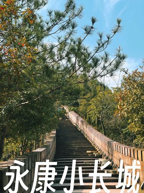 永康天气预报查询(永康天气预报实时播报)-第4张图片-文史 永康天气预报查询(永康天气预报实时播报)-第4张图片-文史