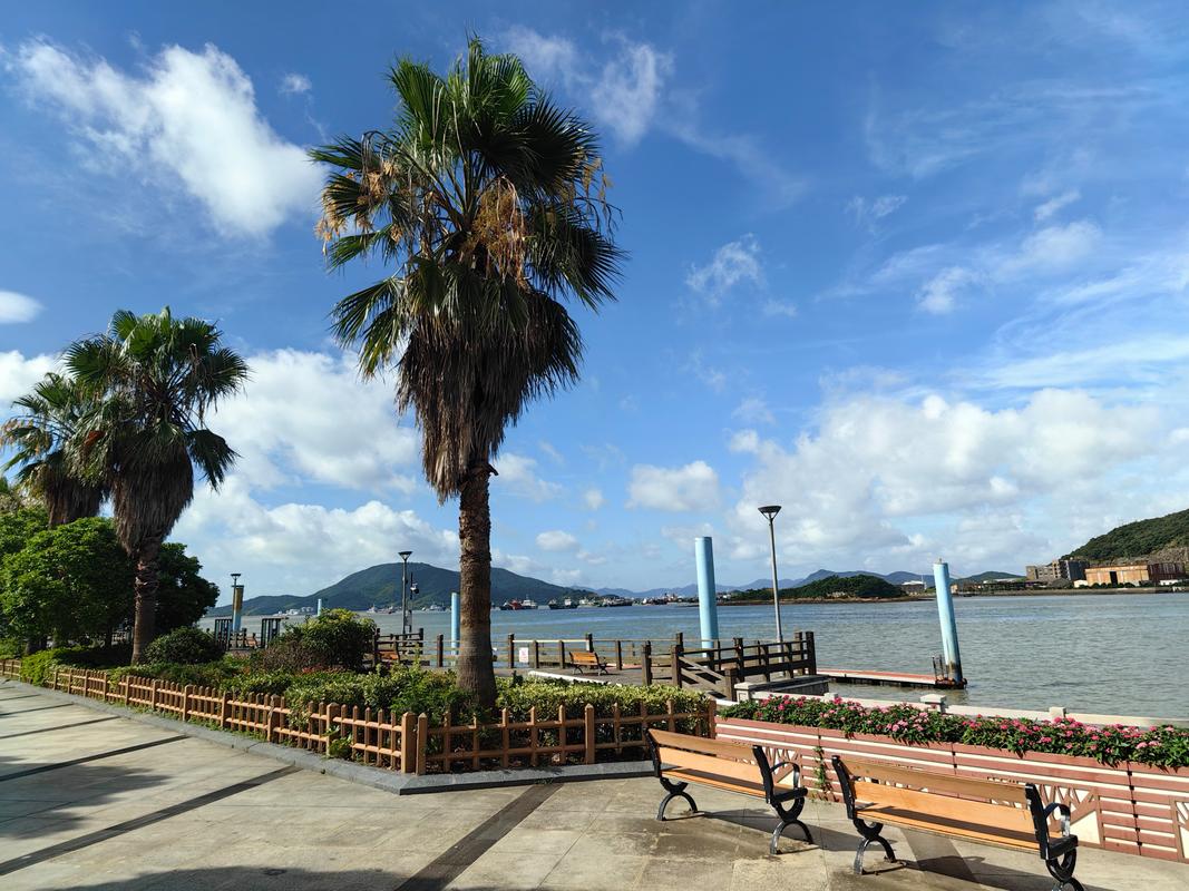 定海天气24小时(定海天气24小时预报)-第4张图片-文史 定海天气24小时(定海天气24小时预报)-第4张图片-文史