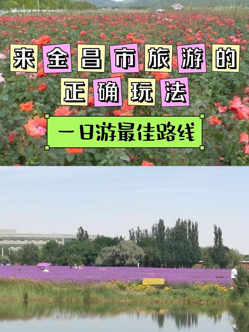金昌市天气预报网站(金昌市 天气)-第4张图片-文史 金昌市天气预报网站(金昌市 天气)-第4张图片-文史