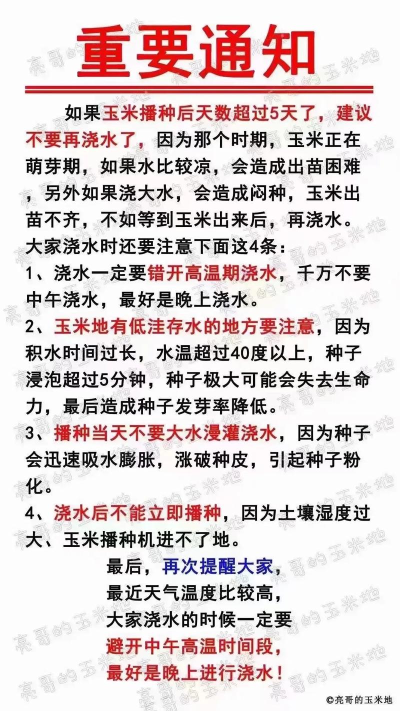 兴安天气预报30天,兴安15天预报-第3张图片-文史 兴安天气预报30天,兴安15天预报-第3张图片-文史