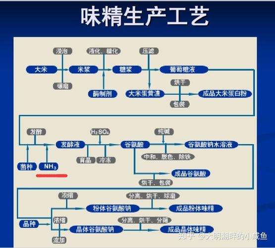 味精是谁发明的(味精是哪国人民发明的?)-第3张图片-文史 味精是谁发明的(味精是哪国人民发明的?)-第3张图片-文史