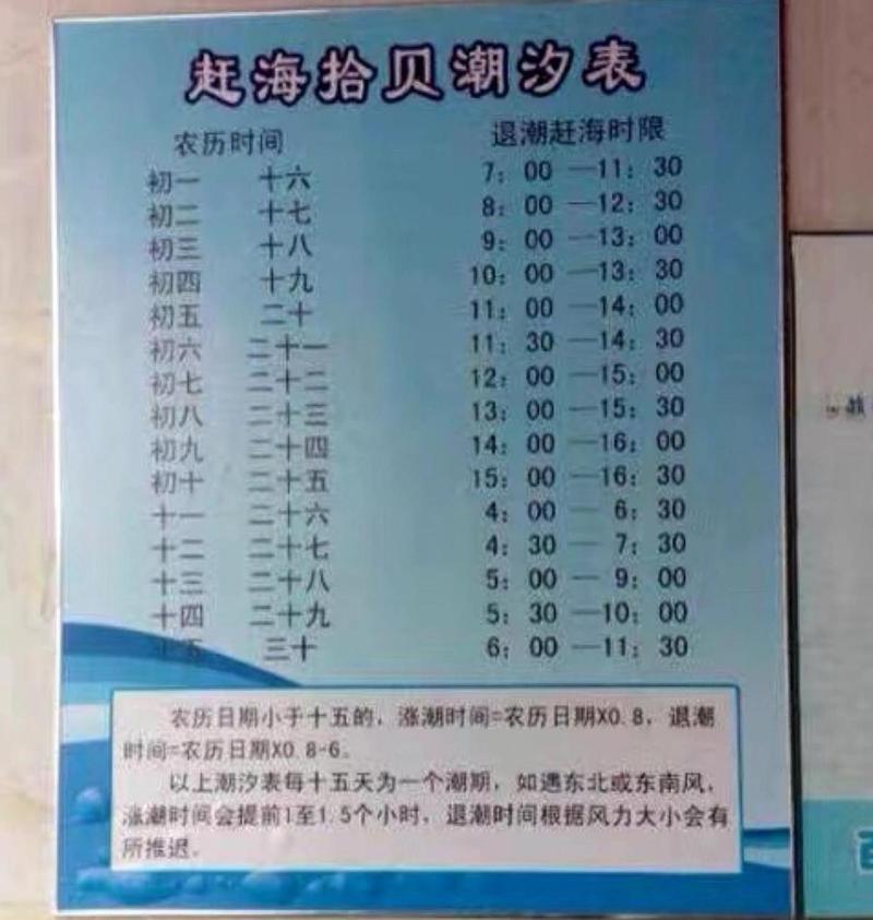 东疆港天气预报查询(塘沽东疆港天气预报)-第2张图片-文史 东疆港天气预报查询(塘沽东疆港天气预报)-第2张图片-文史