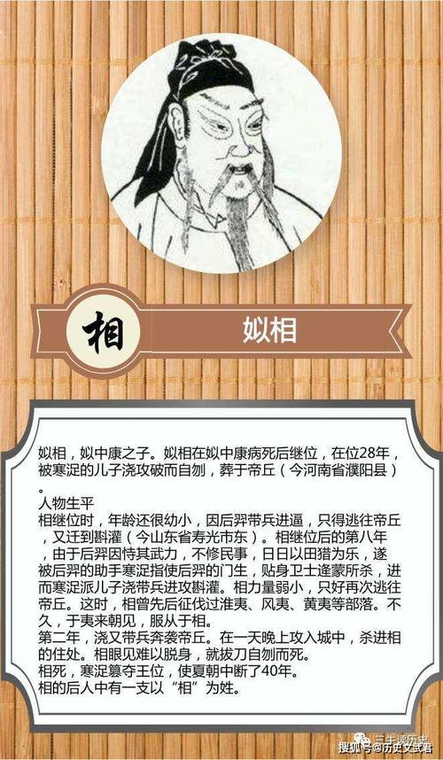 夏朝姒相的妻子后缗氏资料,姒姓夏后氏是什么意思