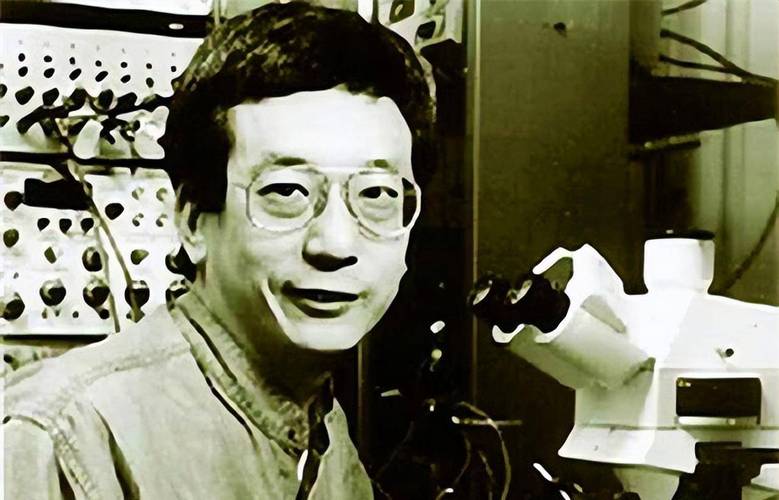 诺贝尔奖得主钱永健放言“我不是中国人”(获得诺贝尔奖的钱永健)-第2张图片-文史 诺贝尔奖得主钱永健放言“我不是中国人”(获得诺贝尔奖的钱永健)-第2张图片-文史
