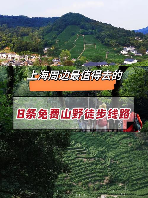 高密市天气预报一周(高密市 天气预报)-第7张图片-文史 高密市天气预报一周(高密市 天气预报)-第7张图片-文史