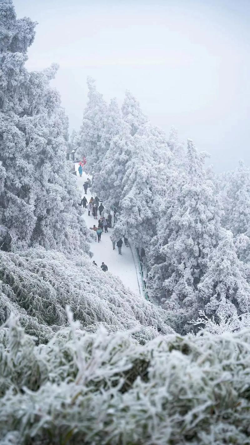 南岳衡山天气30天(南岳衡山20天天气预报)-第3张图片-文史 南岳衡山天气30天(南岳衡山20天天气预报)-第3张图片-文史