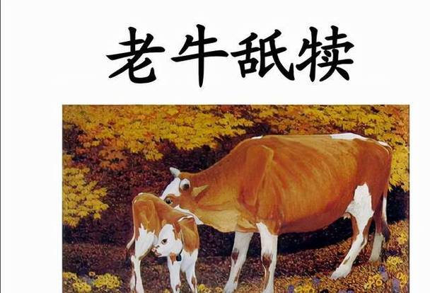 成语老牛舐犊的历史典故是什么(老牛舐犊猜生肖)-第4张图片-文史 成语老牛舐犊的历史典故是什么(老牛舐犊猜生肖)-第4张图片-文史