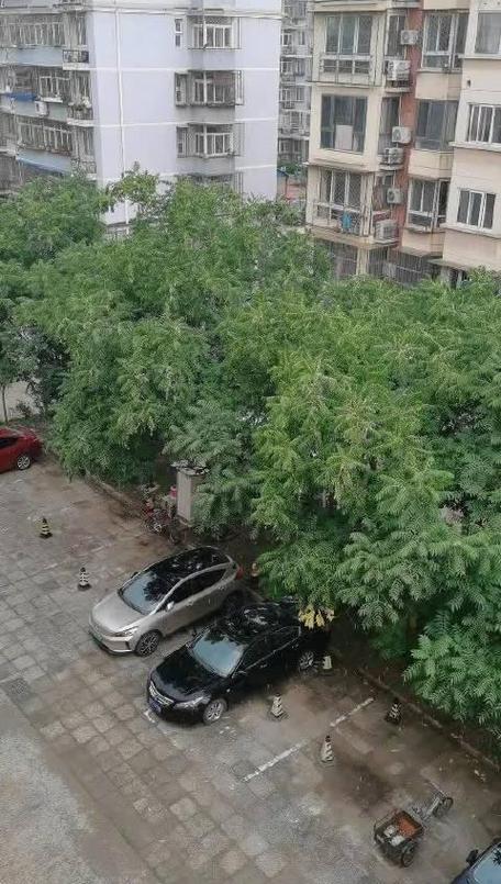 昌平天气实时预报,昌平天气实时预报30天-第7张图片-文史 昌平天气实时预报,昌平天气实时预报30天-第7张图片-文史