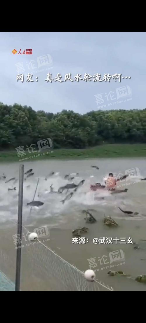襄阳天气气压指数,襄阳气压预报-第7张图片-文史 襄阳天气气压指数,襄阳气压预报-第7张图片-文史