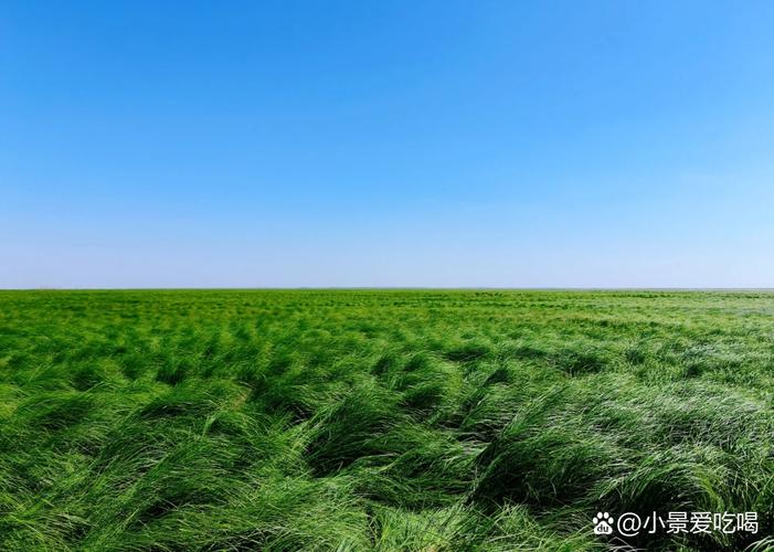 风吹草动有什么历史典故(风吹草动是历史故事吗)-第5张图片-文史 风吹草动有什么历史典故(风吹草动是历史故事吗)-第5张图片-文史