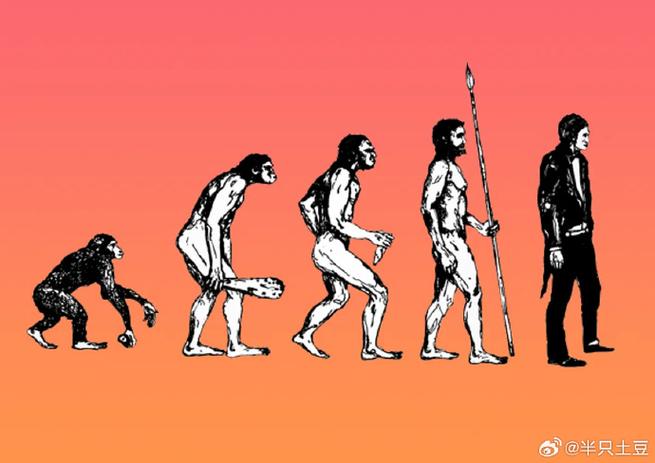 十五个问题看人类进化的谜团,人类进化之谜-第6张图片-文史 十五个问题看人类进化的谜团,人类进化之谜-第6张图片-文史