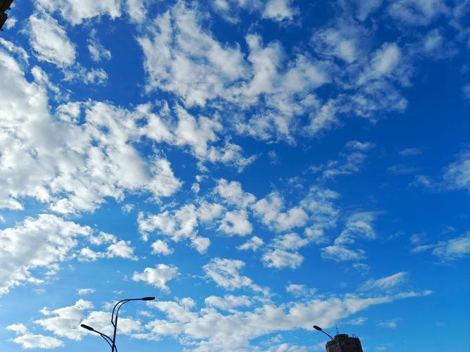 绥化市望奎天气预报,绥化市望奎天气预报15天