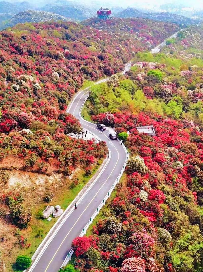 漳州市天气15号（漳州市十五天天气）