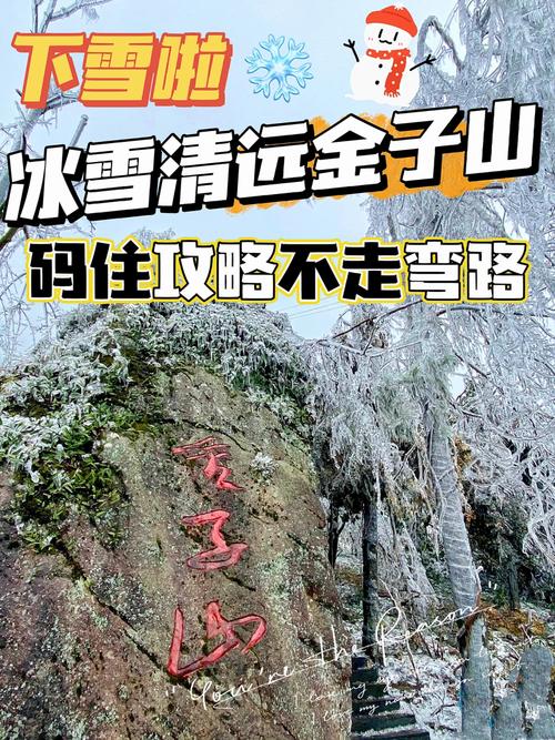 广元金子山天气预报,青川金子山天气预报-第1张图片-文史 广元金子山天气预报,青川金子山天气预报-第1张图片-文史