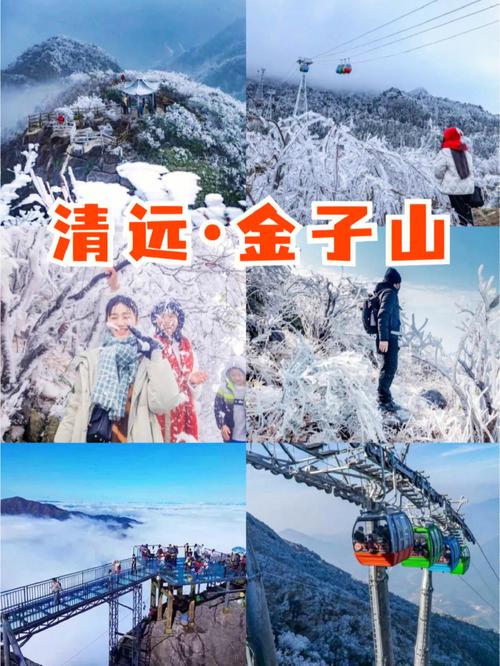 广元金子山天气预报,青川金子山天气预报-第5张图片-文史 广元金子山天气预报,青川金子山天气预报-第5张图片-文史