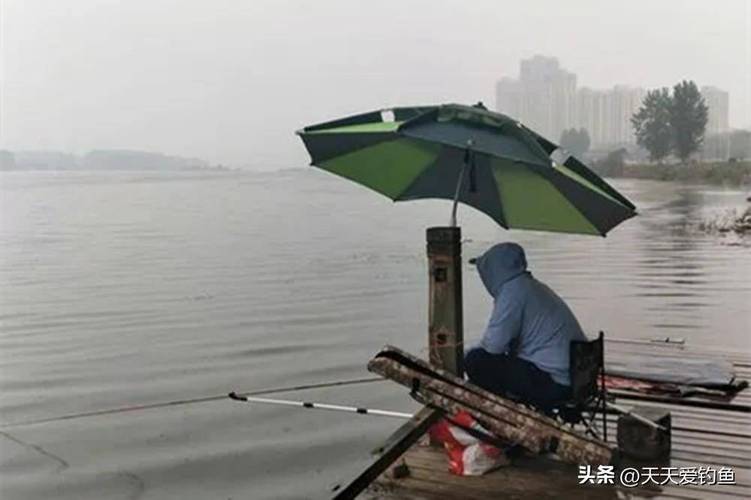 明天天气钓鱼怎么样,明天天气钓鱼怎么样好钓吗-第3张图片-文史 明天天气钓鱼怎么样,明天天气钓鱼怎么样好钓吗-第3张图片-文史