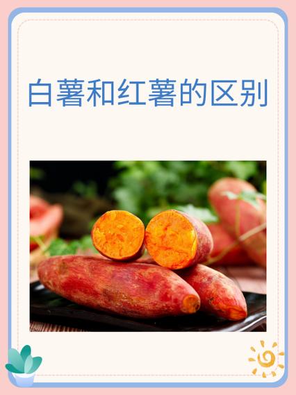 关于白薯的叫法(白薯的别名叫什么)-第3张图片-文史 关于白薯的叫法(白薯的别名叫什么)-第3张图片-文史