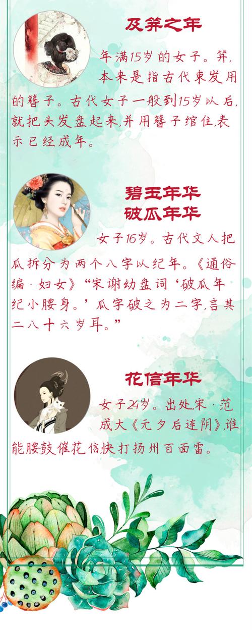 古人为何用“豆蔻”形容少女,为何用豆蔻比作少女-第6张图片-文史 古人为何用“豆蔻”形容少女,为何用豆蔻比作少女-第6张图片-文史