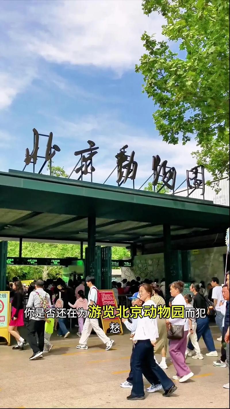 车辆限行尾号北京7.5号,车辆限行尾号北京75号限行吗-第5张图片-文史