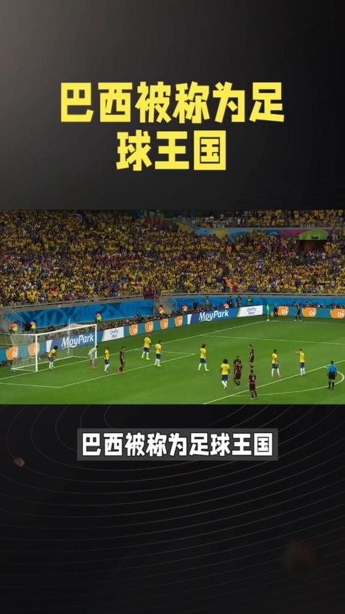 为什么流行于巴西(为什么流行于巴西国家)-第1张图片-文史 为什么流行于巴西(为什么流行于巴西国家)-第1张图片-文史
