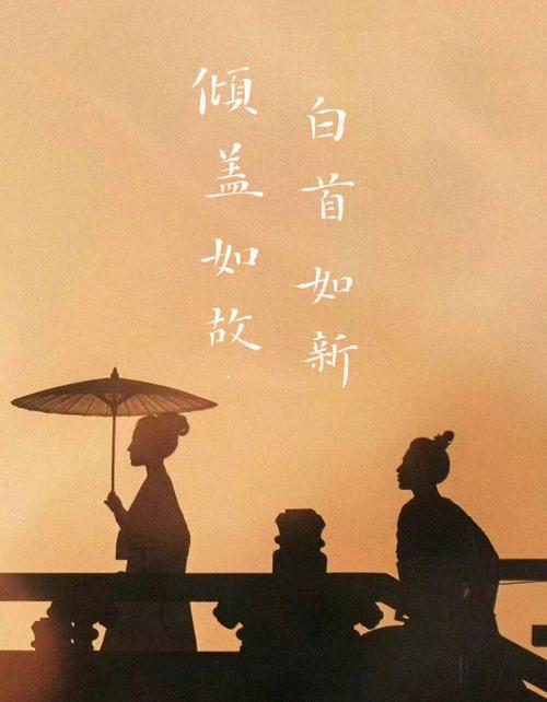 白头如新的主人公是谁(白头如新是什么动物)-第7张图片-文史 白头如新的主人公是谁(白头如新是什么动物)-第7张图片-文史