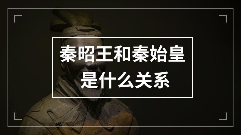 秦武王与秦昭襄王是什么关系（秦昭襄王和汉武帝）