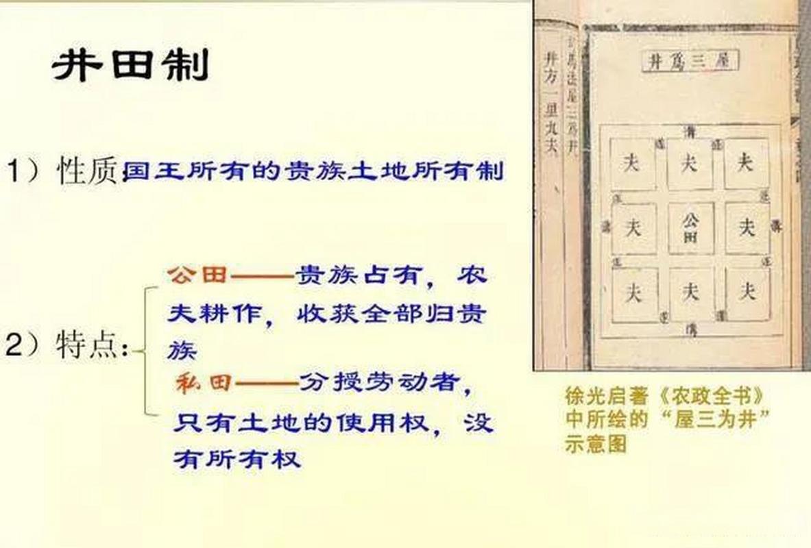 论西周井田制的特点（论西周井田制的特点是什么）