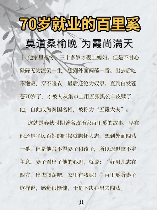 历史上是怎样评价百里奚的(百里奚的政绩)-第8张图片-文史 历史上是怎样评价百里奚的(百里奚的政绩)-第8张图片-文史