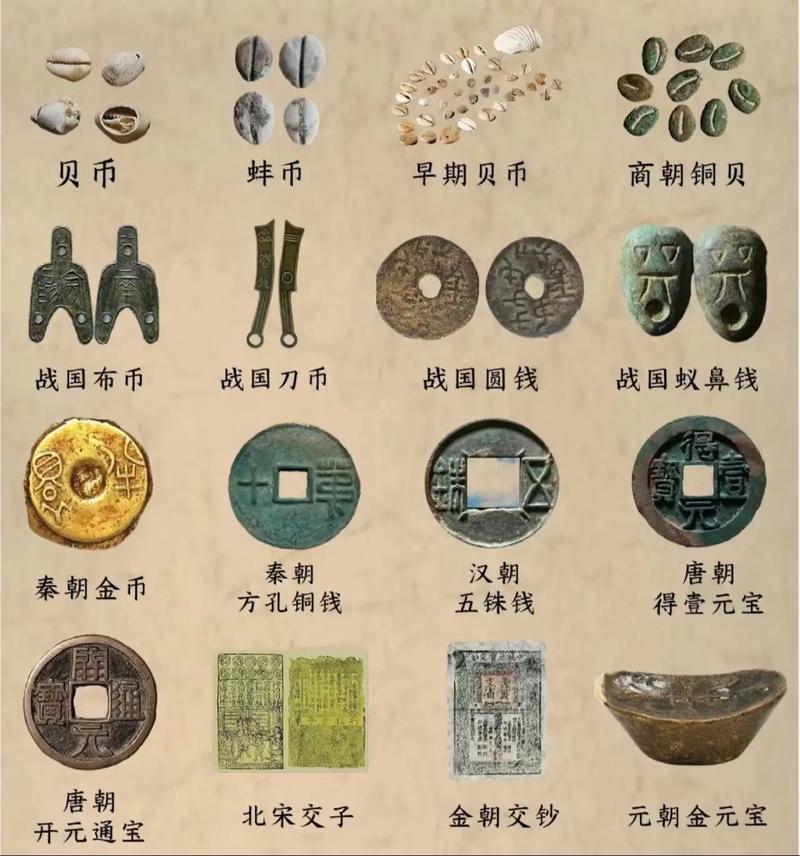 商朝的货币：商朝时期有多少种货币可以使用,商朝用的钱币-第5张图片-文史