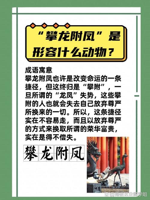 攀龙附凤有什么历史典故（攀龙附凤出过什么生肖）-第2张图片-文史